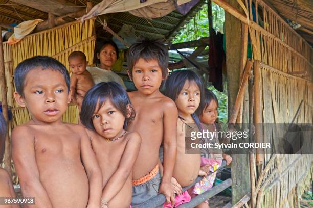 Amérique du Sud, Brésil,état d'Amazonas, bassin du fleuve Amazone, indien Apurina, enfants dans la case.