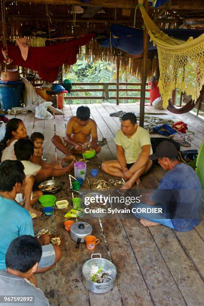 Amérique du Sud, Brésil,état d'Amazonas, bassin du fleuve Amazone, indien Apurina, famille dans la case.