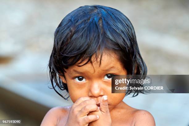 Amérique du Sud, Brésil,état d'Amazonas, bassin du fleuve Amazone, indien Apurina, enfant dans la case.