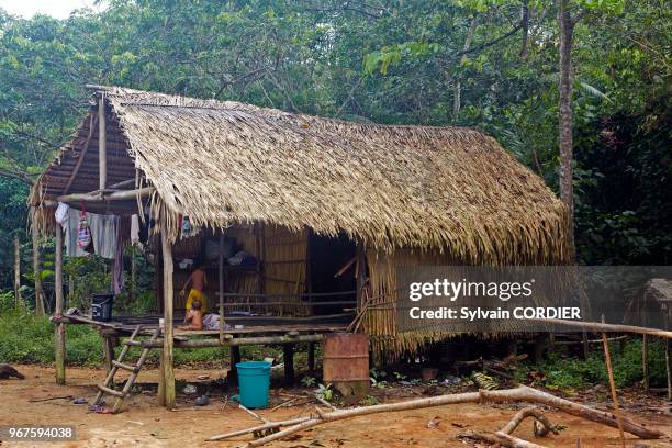 Amérique du Sud, Brésil,état d'Amazonas, bassin du fleuve Amazone, indien Apurina, maison sur pilotis à flanc de colline.