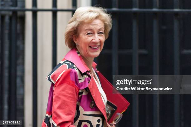 Lord President of the Council and Leader of the House of Commons Andrea Leadsom arrives for a weekly cabinet meeting at 10 Downing Street in central...