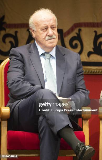 Vicente del Bosque is awarded as Adopted Sons Of Marbella on June 1, 2018 in Marbella, Spain.