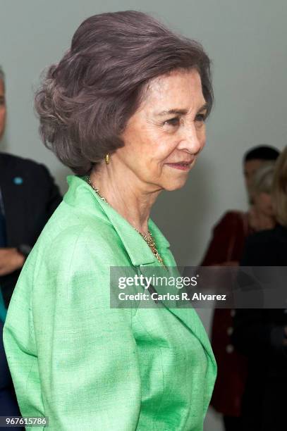 Queen Sofia attends 'Fundacion ONCE' Contemporary Art Biennale exhibition at Cibeles Palace on June 5, 2018 in Madrid, Spain.