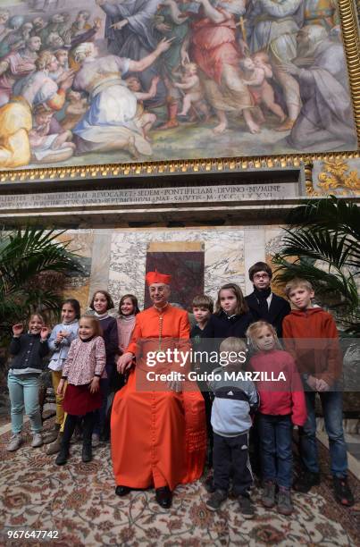 Le Français Dominique Mamberti a été nommé cardinal par le pape François lors d?un consistoire dans la basilique Saint-Pierre au Vatican le 14...