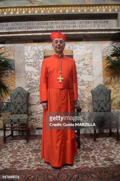 Le Fran çais Dominique Mamberti a été nommé cardinal par le pape François lors d?un consistoire dans la basilique Saint-Pierre au Vatican le 14...