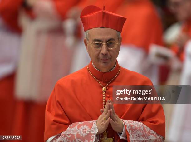 Le Français Dominique Mamberti a été nommé cardinal par le pape François lors d?un consistoire dans la basilique Saint-Pierre au Vatican le 14...