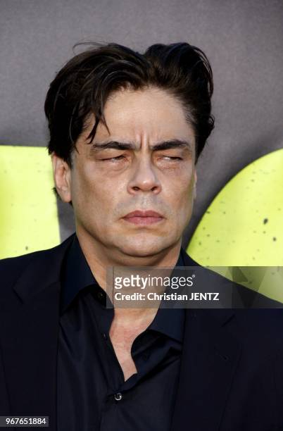 Benicio Del Toro at the Los Angeles premiere of "Savages" held at the Grauman's Chinese Theater, Los Angeles, USA on June 25, 2012.