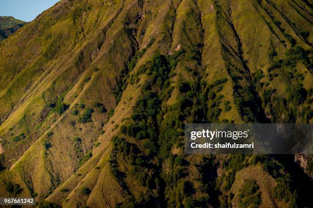 mount batok (2,470m), though lying adjacent to mount bromo. with a perfect triangular mountain top, rising from a sea of volcanic ash surrounding the mount bromo caldera. east java of indonesia. - shaifulzamri bildbanksfoton och bilder