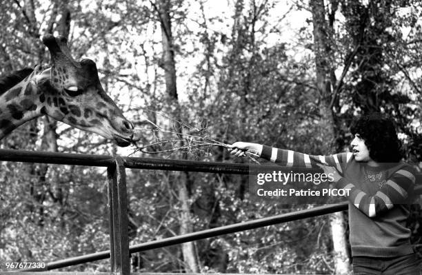 Julien Clerc donne à manger à une girafe au zoo de Thoiry le 20 avril 1972, France.