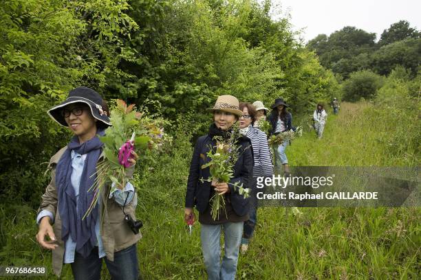 Karl Fuche, fleuriste cheri des Japonaises a Bizou le 29 juin 2013 dans le Perche, France. Ce matin au coeur de la campagne Percheronne, Karl...