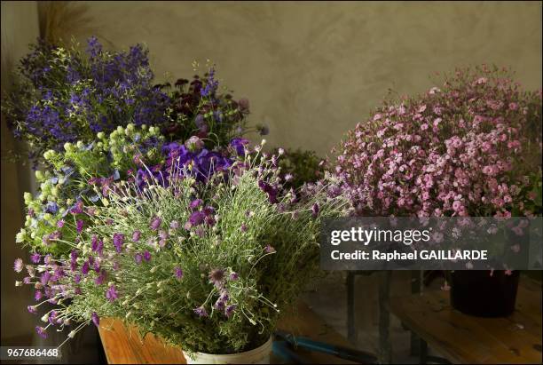 Karl Fuche, fleuriste cheri des Japonaises a Bizou le 29 juin 2013 dans le Perche, France. Ce matin au coeur de la campagne Percheronne, Karl...