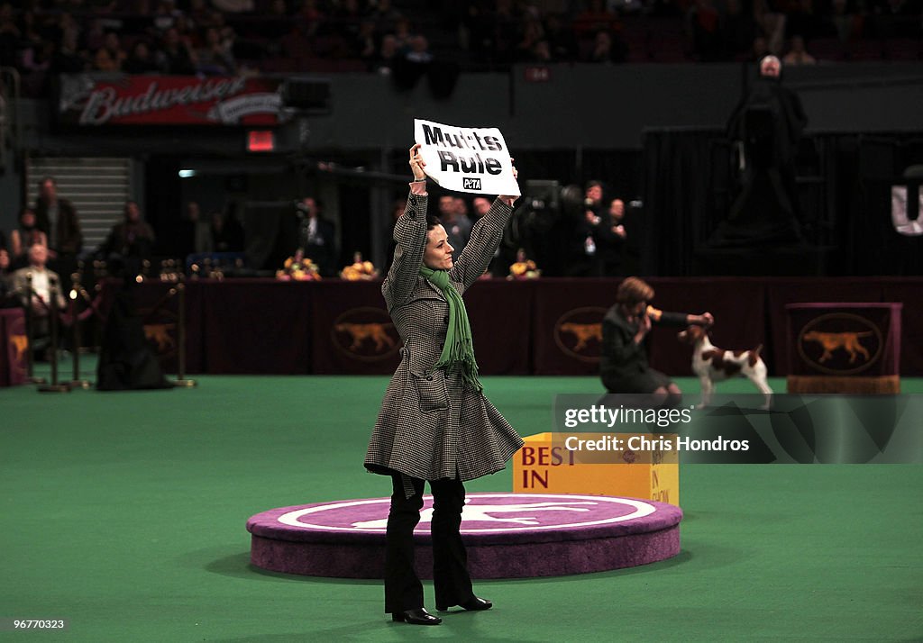 Madison Square Garden Hosts The 2010 Westminster Kennel Club Dog Show