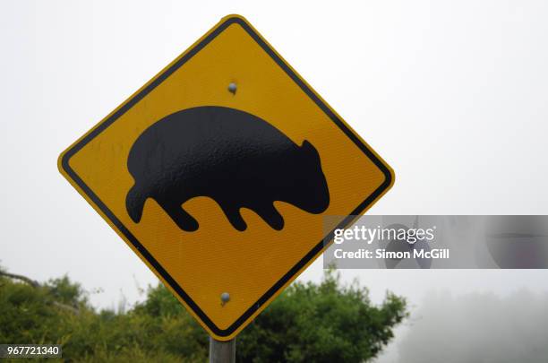 wombat crossing warning road sign - animal crossing sign stockfoto's en -beelden