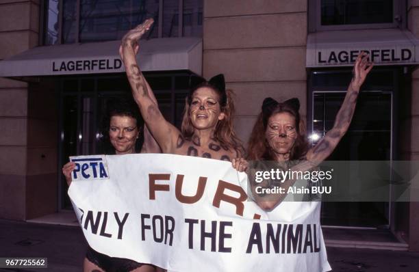 Trois militantes de l'association PETA de défense des droits des animaux manifestent contre l'utilisation de la fourrure animale devant un magasin...