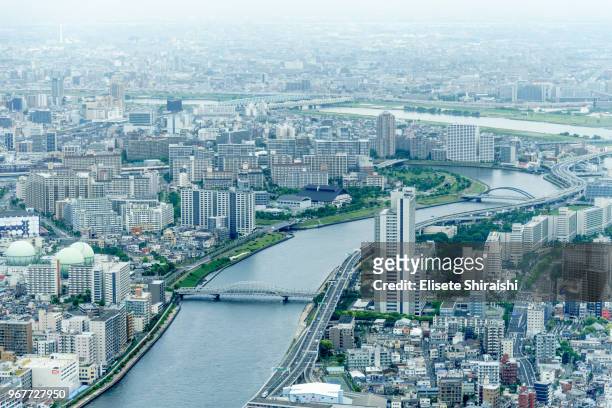 tokyo city - elisete shiraishi stock pictures, royalty-free photos & images