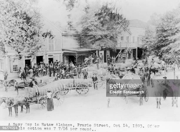 Photograph of Cotton Sales on Prairie Street, Eutaw, Alabama on October 14, 1893.