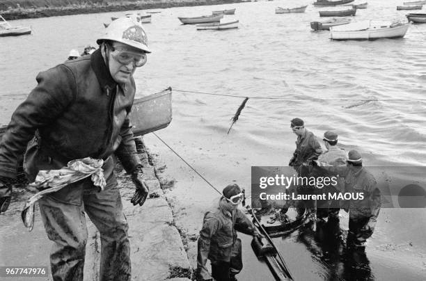 Pompiers et bénévoles lors du nettoyage de la plage après le naufrage du pétrolier Amoco Cadiz le 21 mars 1978 à Portsall, France.