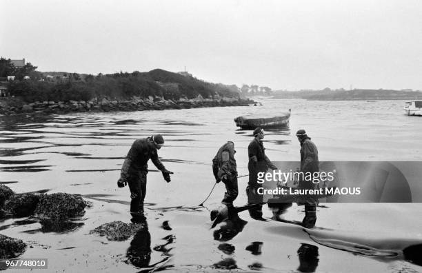 Nettoyage de la plage après le naufrage du pétrolier Amoco Cadiz le 21 mars 1978 à Portsall, France.