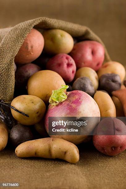 root vegetables - raw new potato stock pictures, royalty-free photos & images