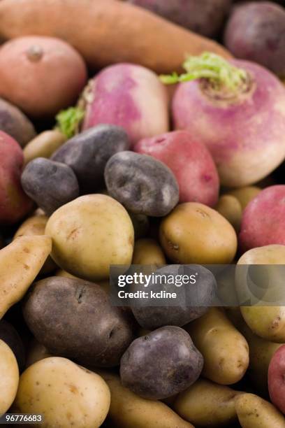 potatoes & roots - yukon gold stock pictures, royalty-free photos & images