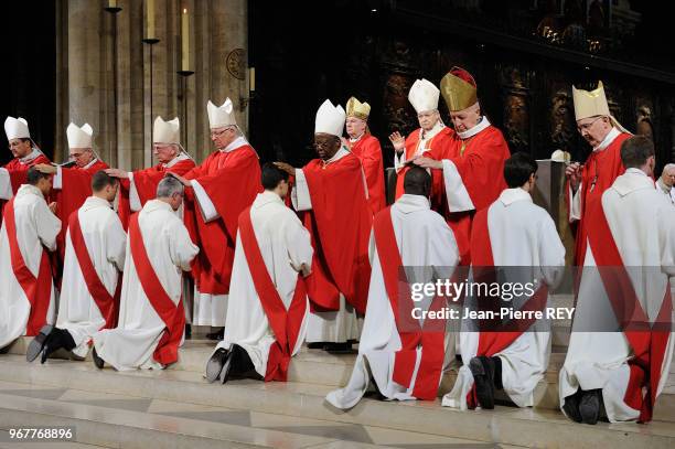 Le Cardinal André Vingt-Trois archevèque de Paris a ordonné 12 nouveaux prêtres à la cathédrale Notre Dame à Paris le 30 juin 2012, France.