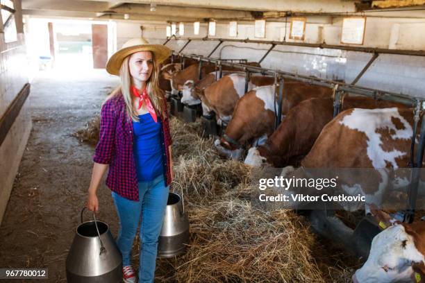 farming is more than a job - retro cowgirl stock pictures, royalty-free photos & images