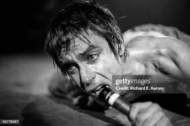 Iggy Pop performs live on stage in New York in 1977