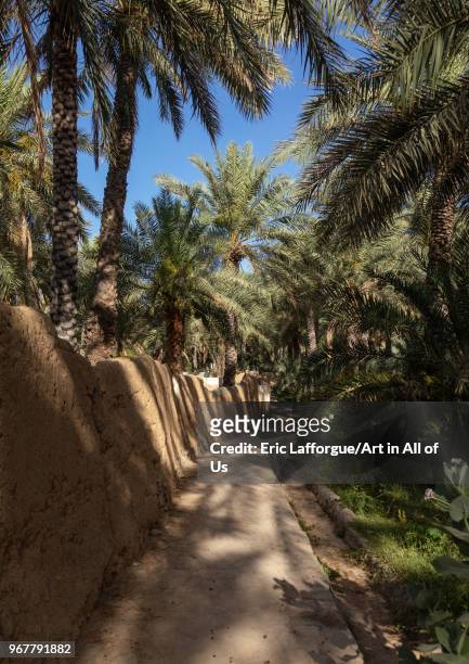 Alley in an oasis, Ad Dakhiliyah Region, Al Hamra, Oman on May 10, 2018 in Al Hamra, Oman.