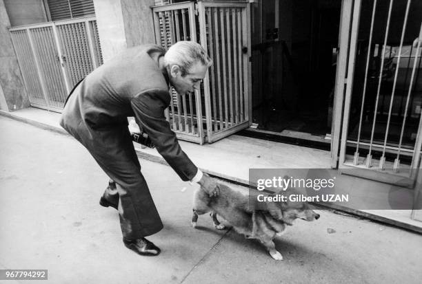 Portrait de Robert Fabre, député, avec son chien au siège des radicaux de gauche le 23 septembre 1975 à Paris, France.