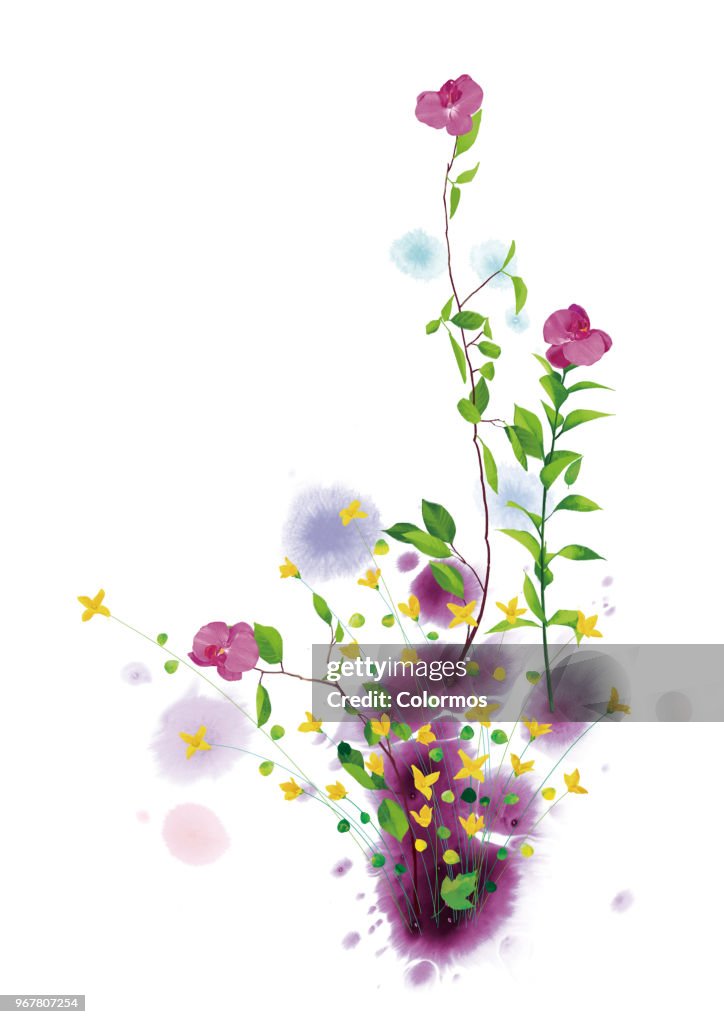 Conceptual flower art work on white background
