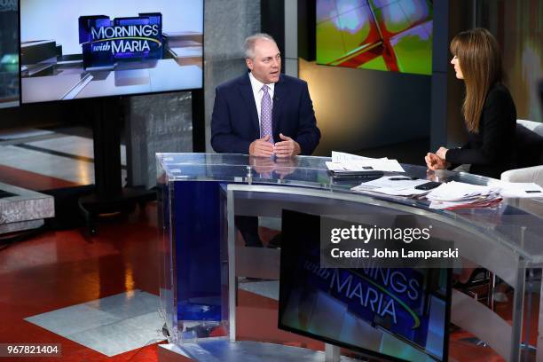 Fox Business Network anchor Dagen McDowell interviews United States House of Representatives Majority Whip and U.S. Rep. Steve Scalise during...