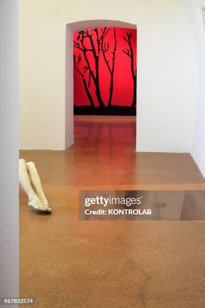 One of the room of the permanent collection exhibition of Garuzzo Institute for the Visual Art inside The Castiglia in Saluzzo, near Turin, northern...