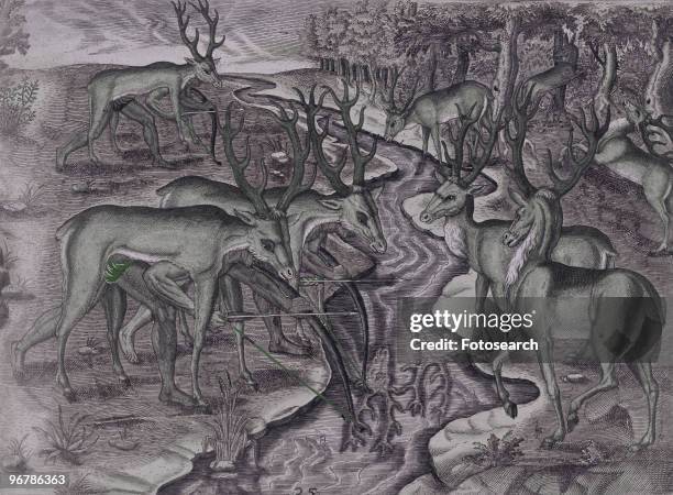 Painting of Native Americans Hunting Deer, circa 1619.