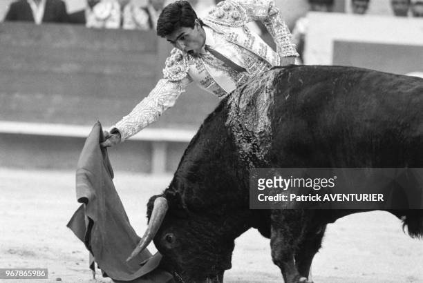 Le matador Rafi Camino face à un taureau lors des férias de Nîmes le 26 septembre 1987, France.