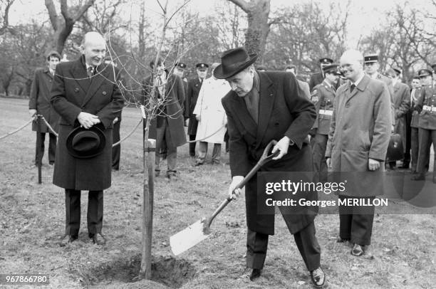 Le président François Mitterrand plante un arbre lors de sa visite à Dublin avec à gauche le président irlandais Patrick Hillery le 25 février 1988,...