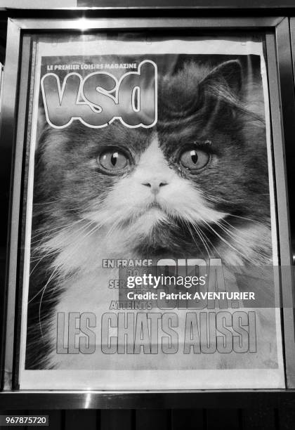 Couverture du magazine VSD qui titre que 30% des chats seraint atteint par le SIDA, Paris le 29 juillet 1988, France.