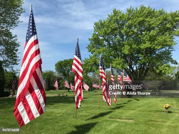 flags for memorial day - alvida stock pictures, royalty-free photos & images