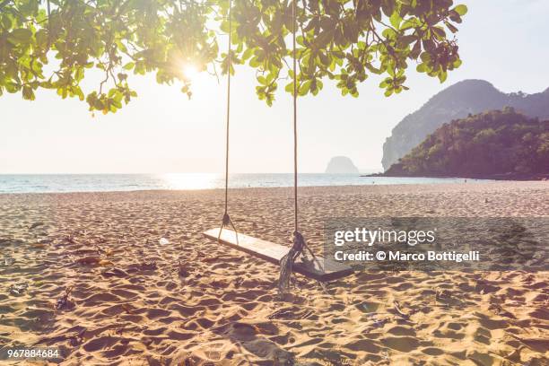 swing on the beach at sunset - hammock no people stock pictures, royalty-free photos & images