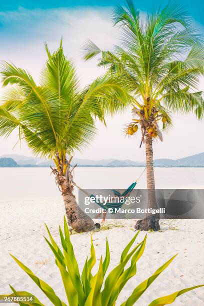 woman relaxing on hammock on the beach at sunset. - eco tourism stock pictures, royalty-free photos & images
