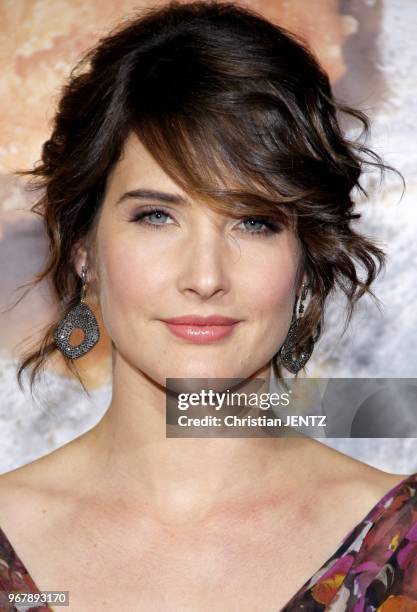 Cobie Smulders at the Los Angeles Premiere of "American Reunion" held at the Grauman's Chinese Theater in Los Angeles, USA on March 19, 2012.