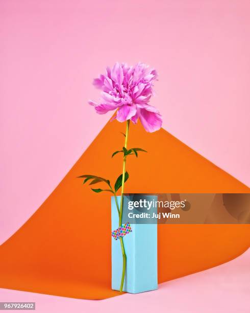 pink peony in bloom - ikebana arrangement stock pictures, royalty-free photos & images