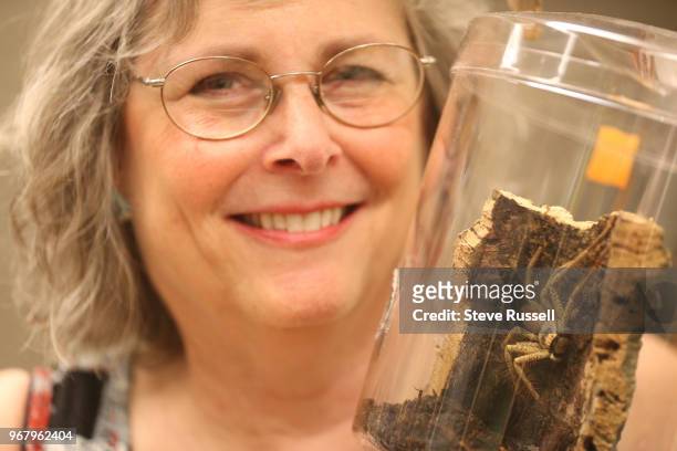 Dr. Linda Rayor is supplies the spider exhibit with spiders including her favourite, the golden huntsman. A look behind-the-scenes at the Royal...