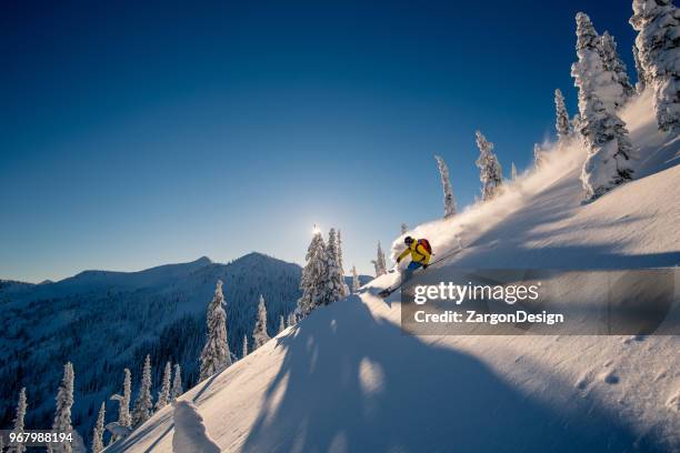 powder skiing - heli skiing stock pictures, royalty-free photos & images