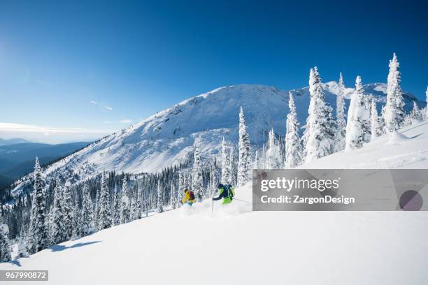 powder skiing - heli skiing stock pictures, royalty-free photos & images