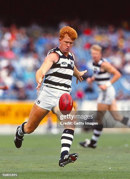 Tim Mgrath 52 Geelong Cats 1992 Photos & High Res Pictures - Getty Images
