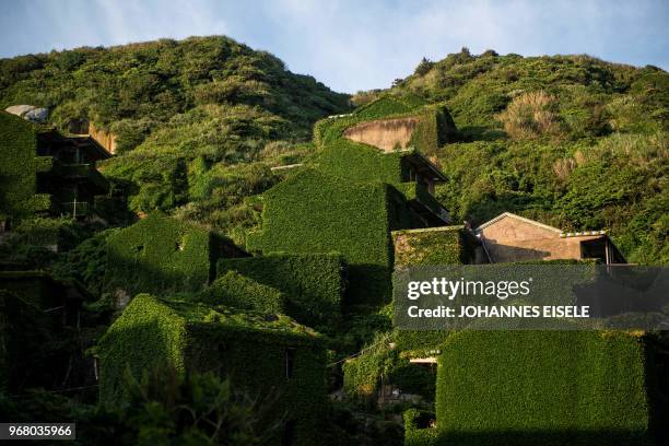 This picture taken on June 1, 2018 shows abandoned village houses covered with overgrown vegetation in Houtouwan on Shengshan island, China's eastern...