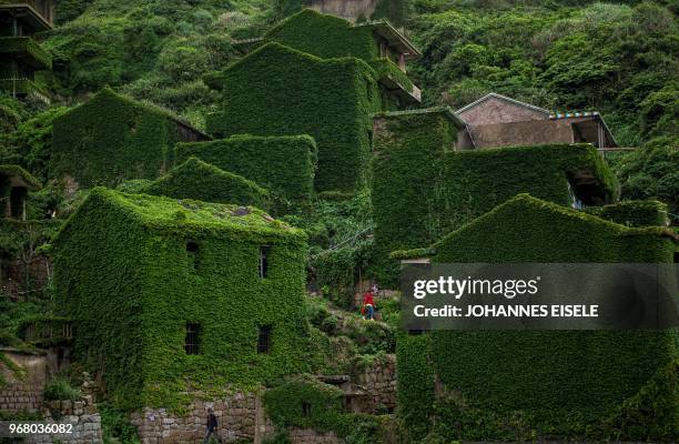 This picture taken on May 31, 2018 shows a villager walking between abandoned houses covered with overgrown vegetation in Houtouwan on Shengshan...