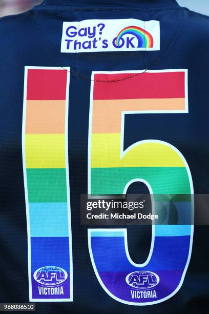 Emma Kearney wears her jumper during a We Are Pride Cup Launch press conference at AFL House on June 6, 2018 in Melbourne, Australia.