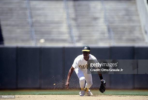 Willie Randolph of the Oakland Athletics gets ready on the field during a 1990 season game at Oakland-Alameda County Coliseum in Oakland, California.