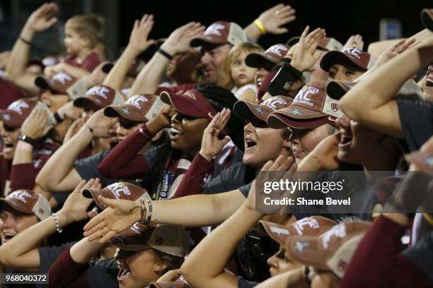 The Florida State Seminoles celebrate after defeating the Washington Huskies during the Division I Women's Softball Championship held at USA Softball...